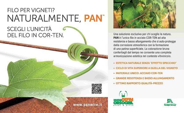 PAN l'unico filo per vigneti in COR-TEN