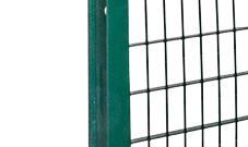 PIANTANA IPE 100