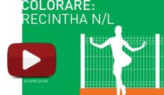 Le recinzioni colorate Nuova Defim Orsogril