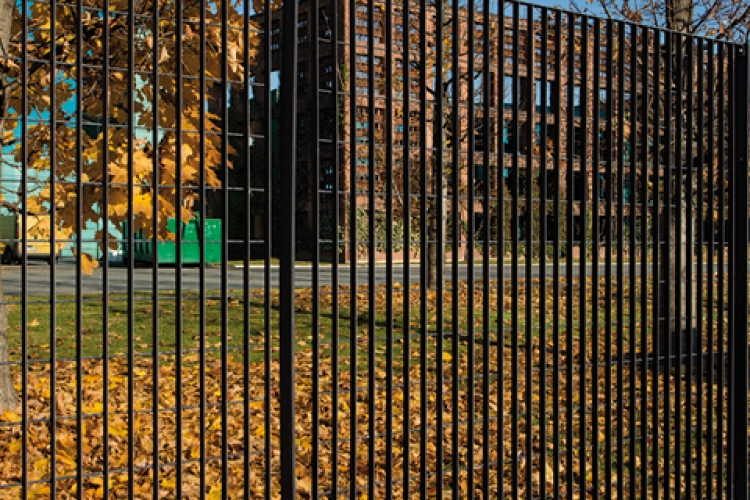 Sterope - Area culturale