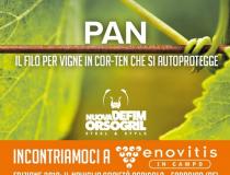PAN l'unico filo per vigneti in COR-TEN